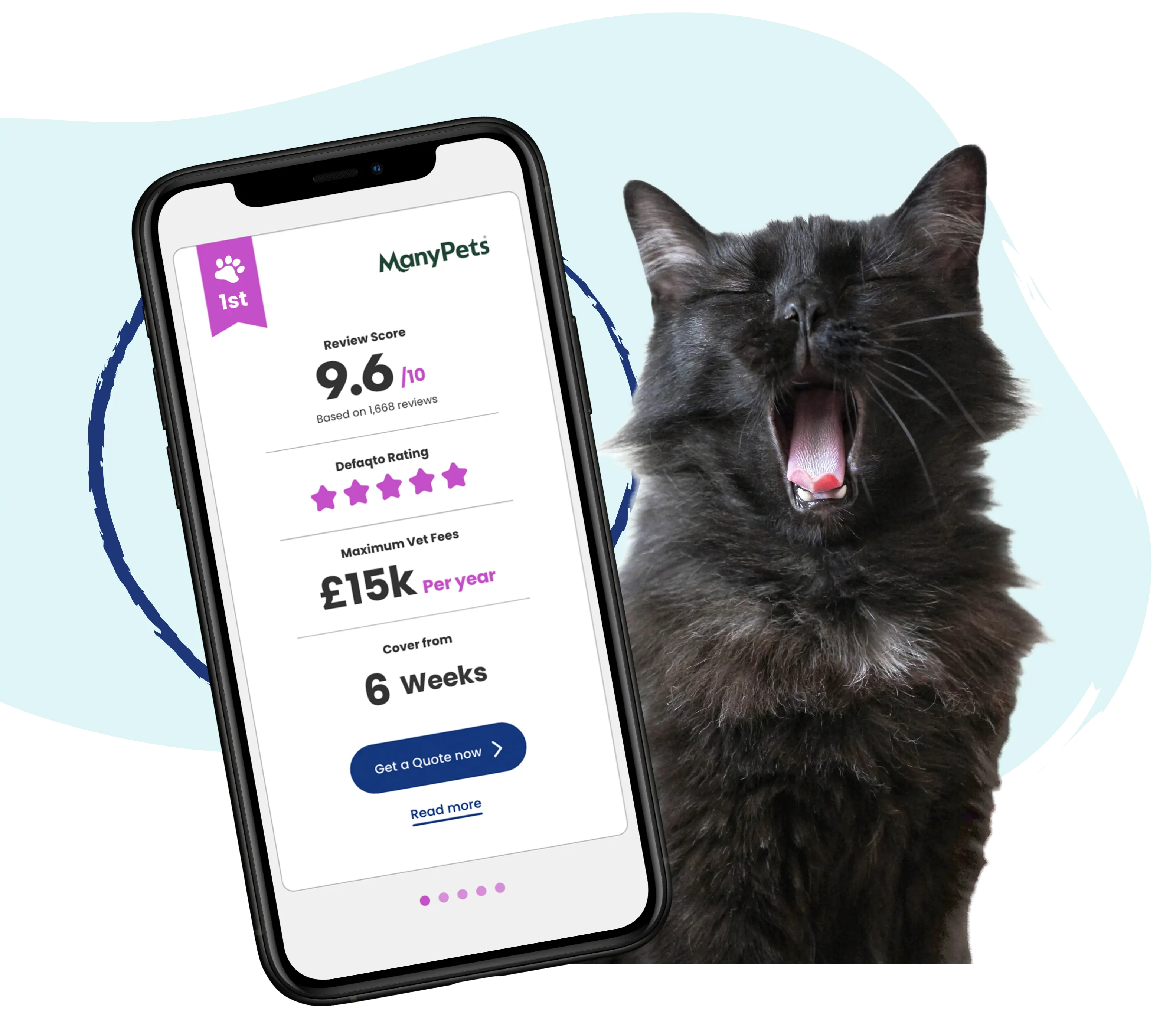 cat-insurance Header Image