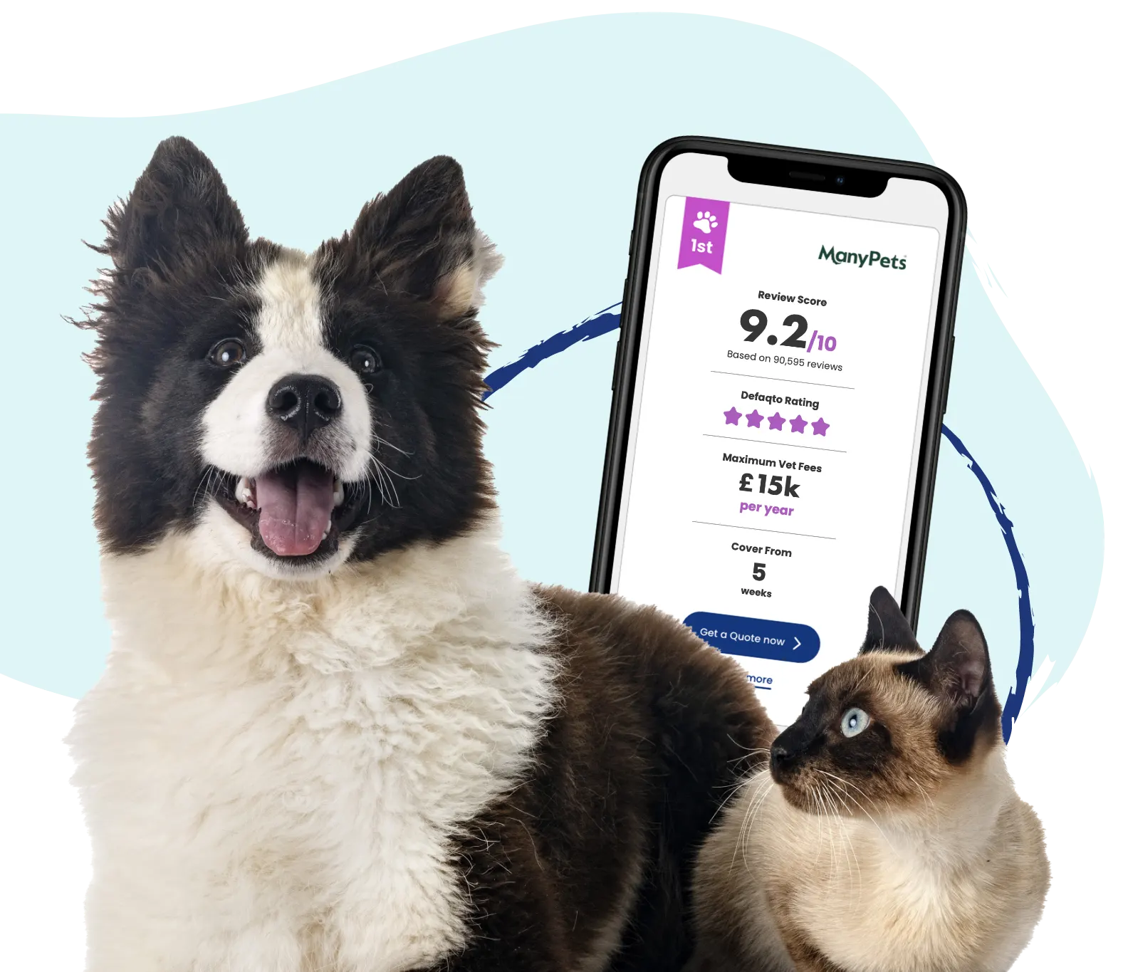 compare-multi-pet-insurance Header Image